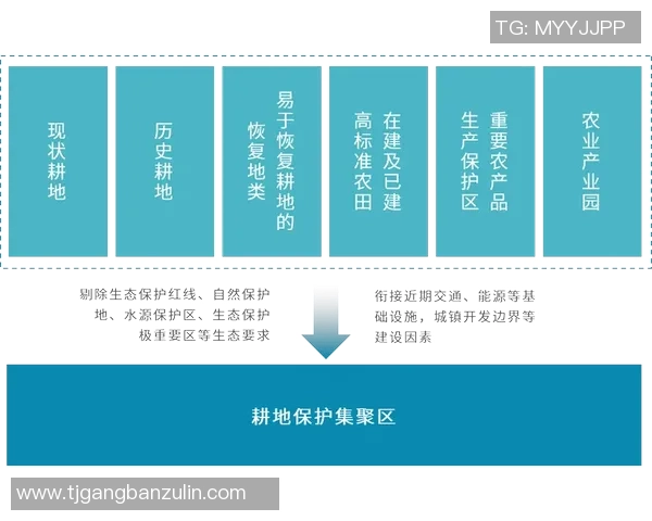 持证足球教练的职业发展与培训路径探讨及其对青少年足球教育的影响 持证足球教练的职业发展与培训路径探讨及其对青少年足球教育的影响